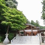 日高市高麗神社お宮参り出張撮影