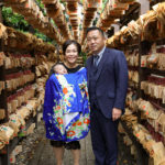 川越氷川神社　七五三　お宮参り写真撮影　